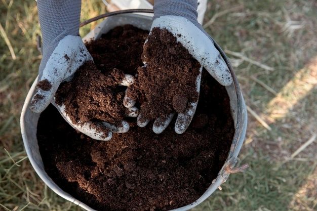 Carbon Plus Compost | 237-239 Mount Crosby Rd, North Tivoli QLD 4305, Australia | Phone: (07) 3026 2578