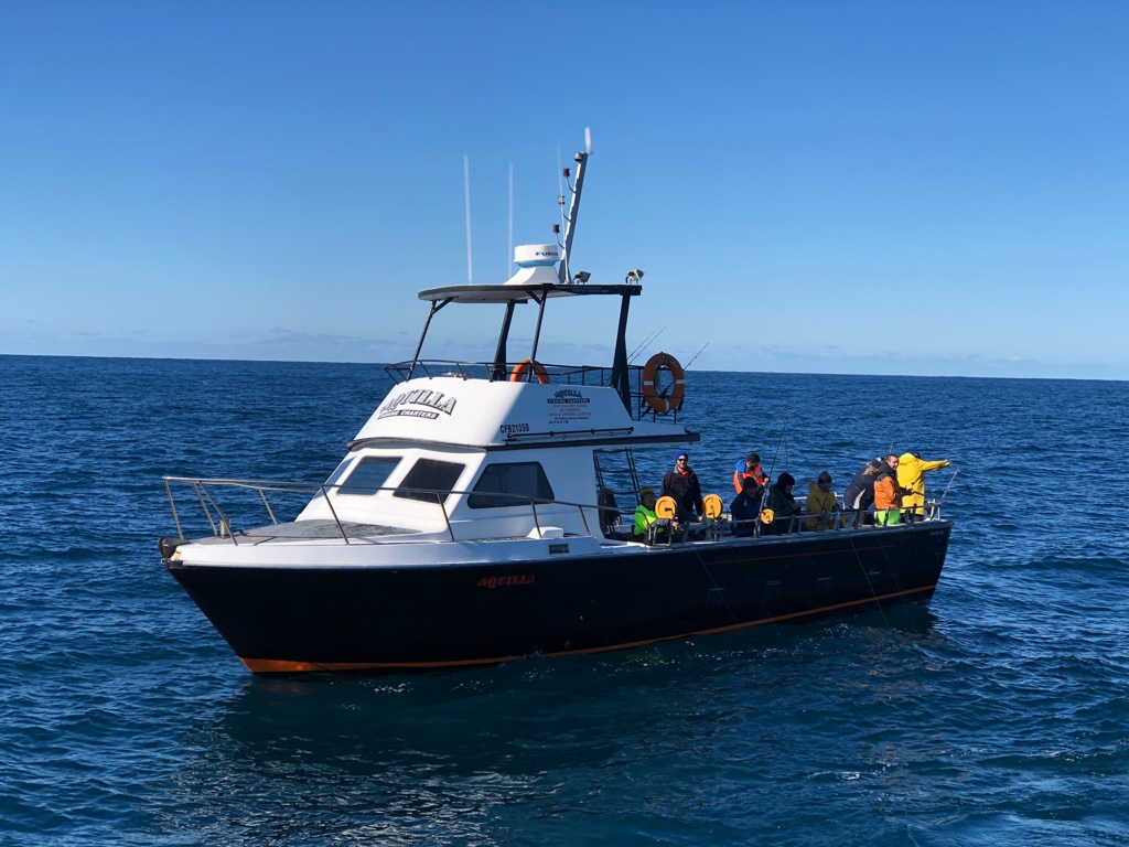 Aquilla Fishing Charters | Endeavour Dr, Wollongong NSW 2500, Australia | Phone: 0414 615 146