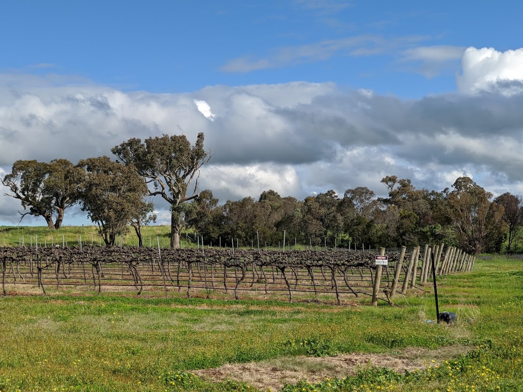 Gallagher Wines | tourist attraction | Dog Trap Rd, Jeir NSW 2582, Australia | 0412699830 OR +61 412 699 830