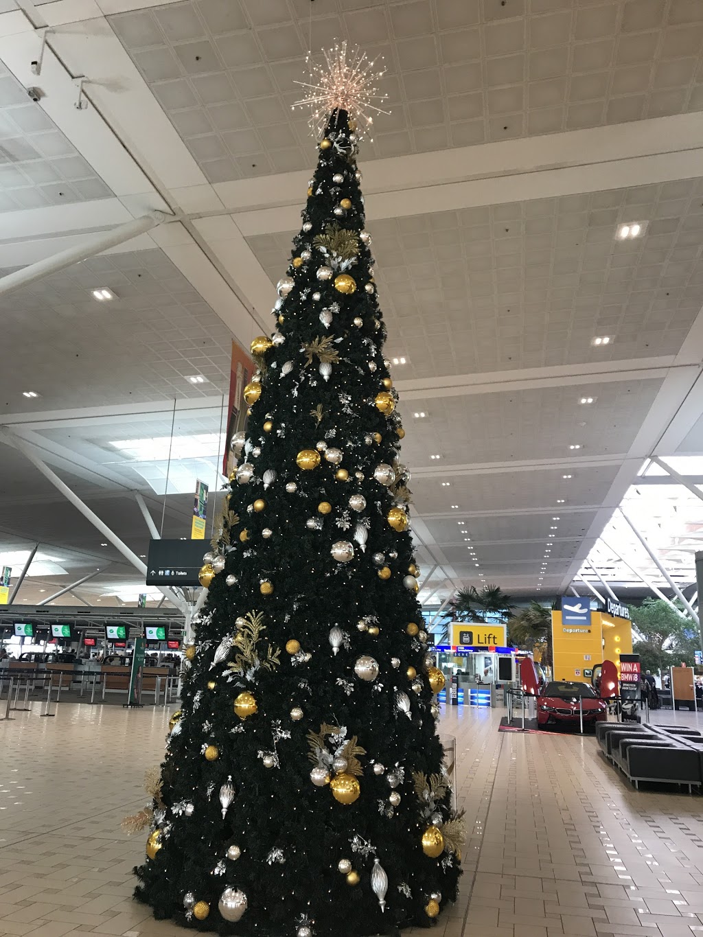 Virgin Australia Brisbane International | airport | International Terminal, 32 Airport Dr, Brisbane Airport QLD 4008, Australia | 136789 OR +61 136789