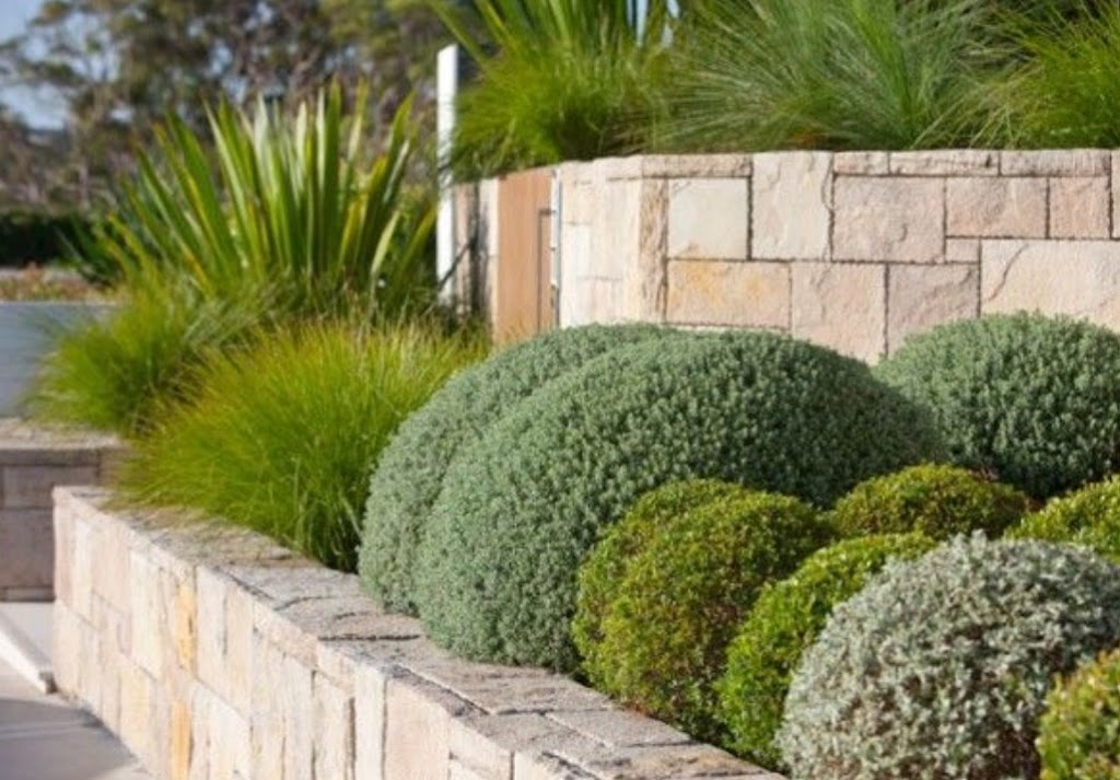 Advanced Mowing | 150 Scobie Cres, Bellambi NSW 2518, Australia | Phone: 0458 366 944