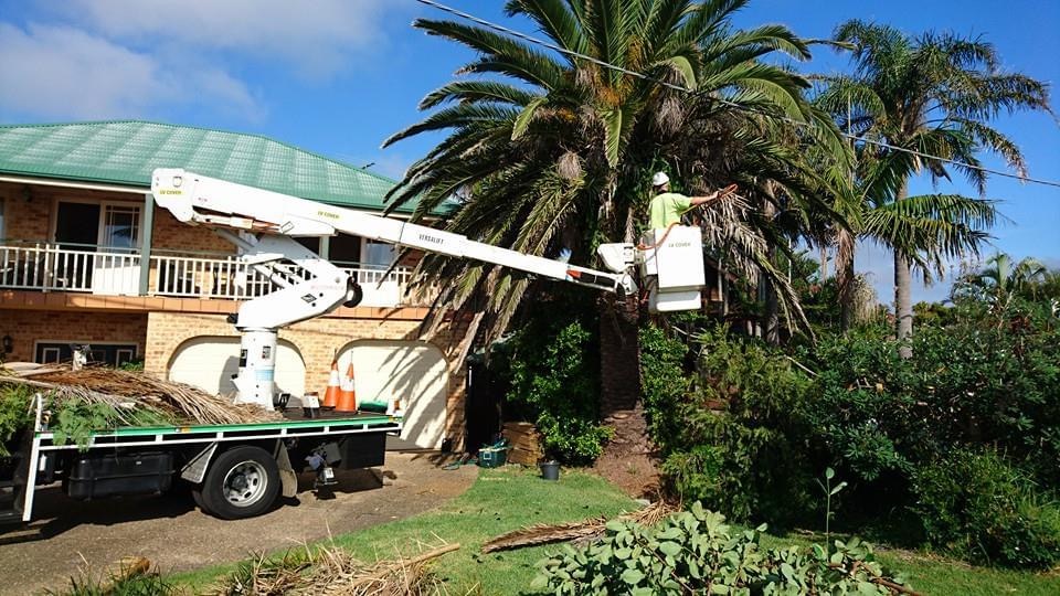 Tip Top Trees and Gardens |  | 57 Hillcrest Ave, Mona Vale NSW 2103, Australia | 0432194874 OR +61 432 194 874