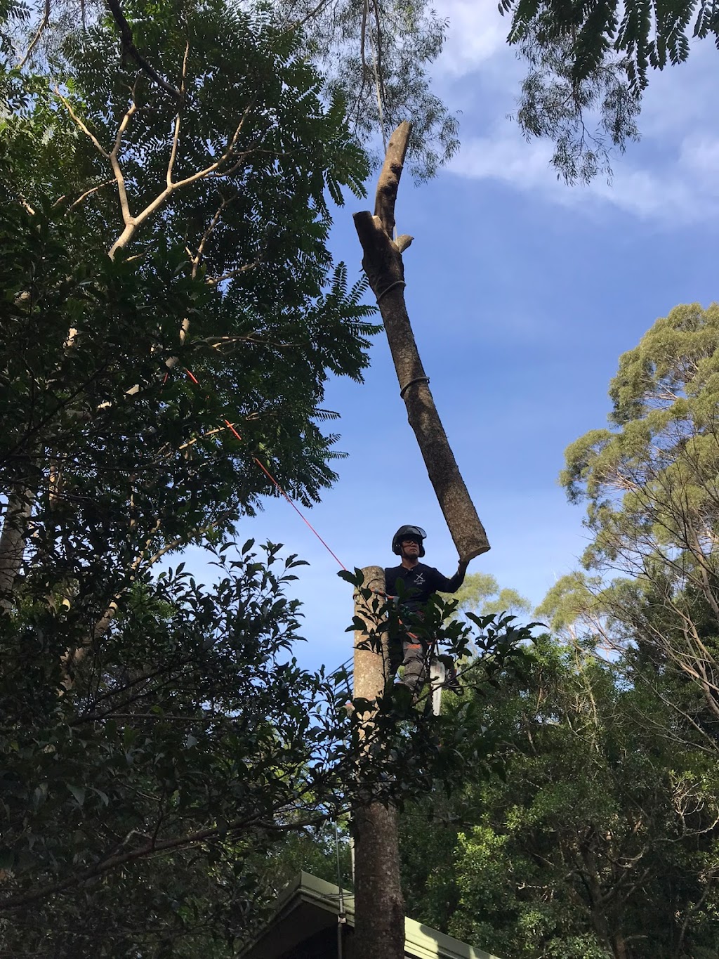 Kiama tree care |  | 51 Old Saddleback Rd, Kiama NSW 2533, Australia | 0426870023 OR +61 426 870 023
