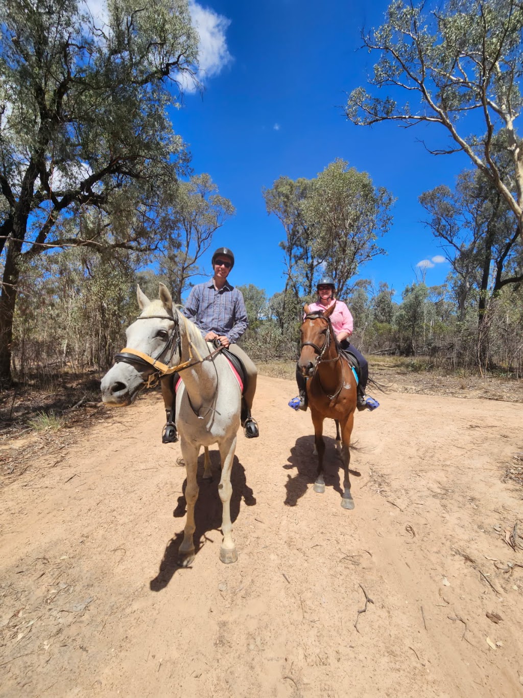 JW Equestrian | 109 Ryans Access Rd, Barnawartha VIC 3688, Australia | Phone: 0418 145 159