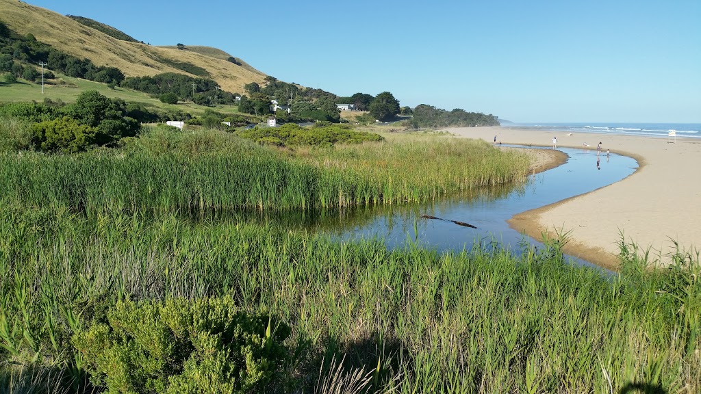 Wild Dog Creek Streamside Reserve | park | Wild Dog Rd, Apollo Bay VIC 3233, Australia