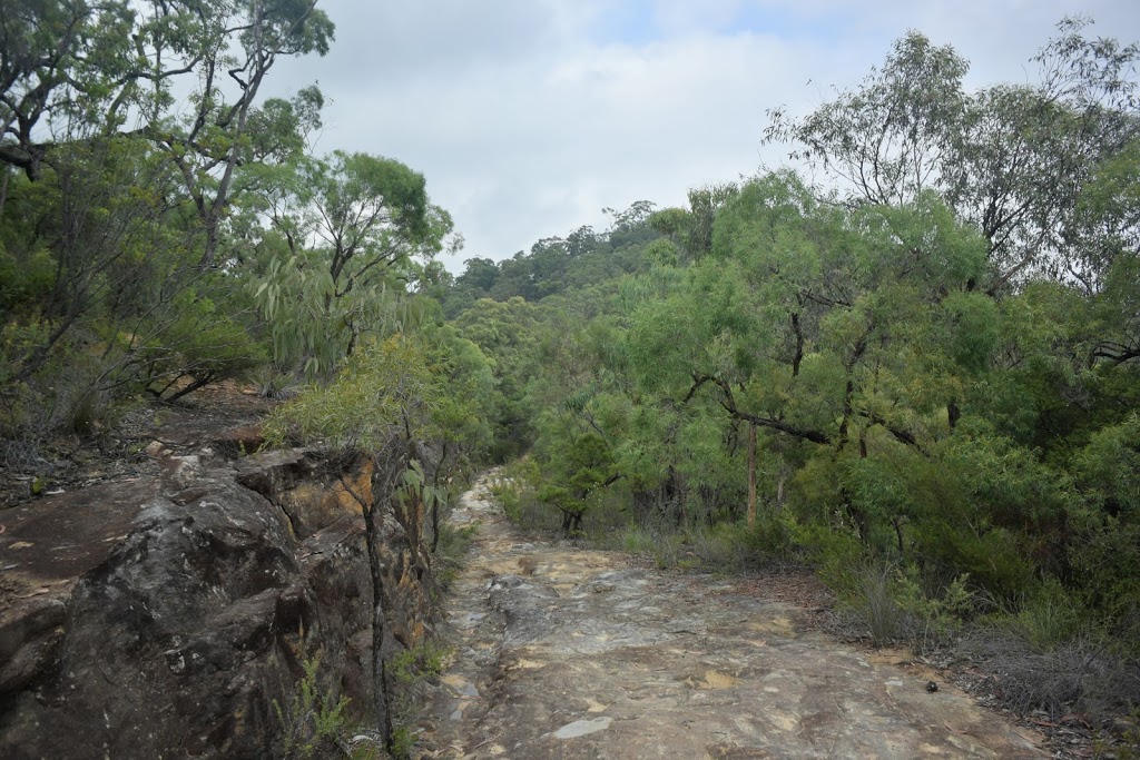 Dharug National Park | Gunderman NSW 2775, Australia | Phone: (02) 4320 4200