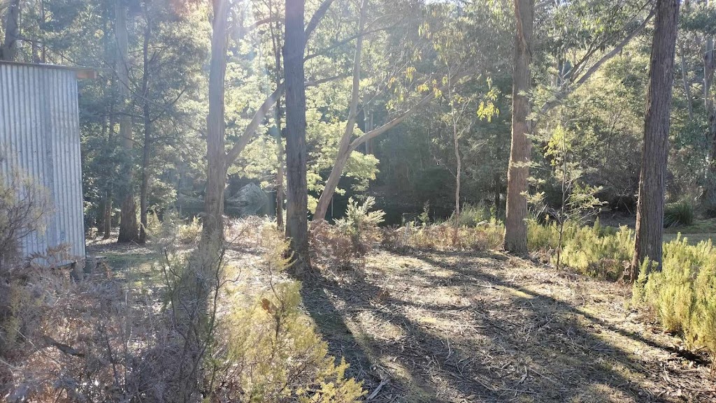 The Harmonic Healers | 16 Dances Rd, Cygnet TAS 7112, Australia | Phone: 0413 587 943