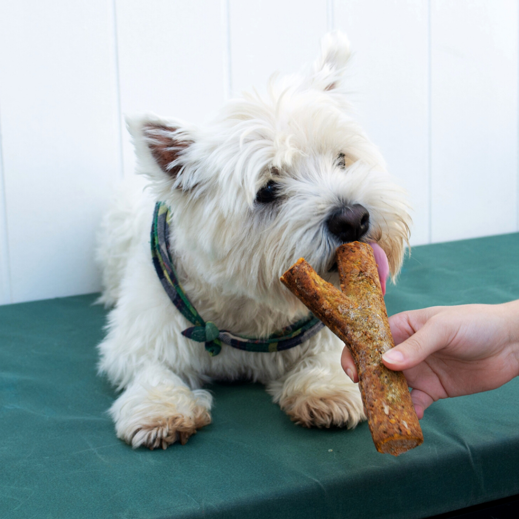Petsypoles | Shop 4/69-71 National Ave, Loftus NSW 2232, Australia | Phone: 1300 268 111