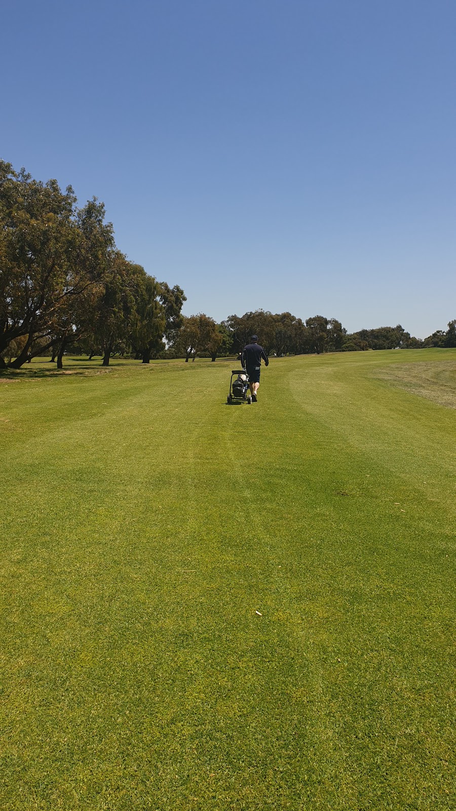 Ocean Grove Golf Club | Ocean Grove Golf Club, 9 Guthridge St, Ocean Grove VIC 3226, Australia | Phone: (03) 5256 2795