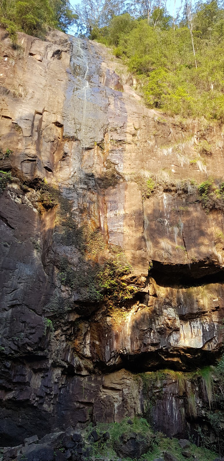 Protesters Falls | Nightcap National Park, Protester Falls Track, Nightcap NSW 2480, Australia | Phone: (02) 6627 0200