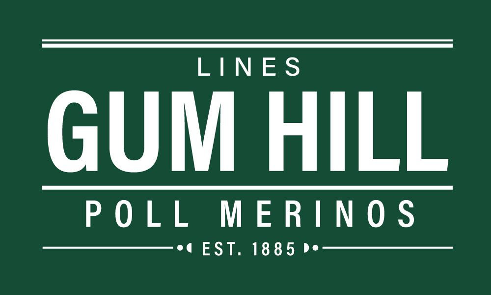 Gum Hill Poll Merino Stud | 56 Gum Hill Rd, Mount Bryan SA 5418, Australia | Phone: 0407 934 027