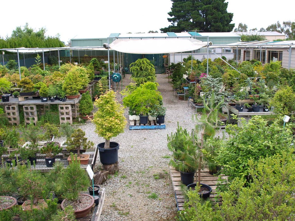 Bonsai Art Nursery | 236 Old Dandenong Rd, Heatherton VIC 3202, Australia | Phone: 0402 096 725