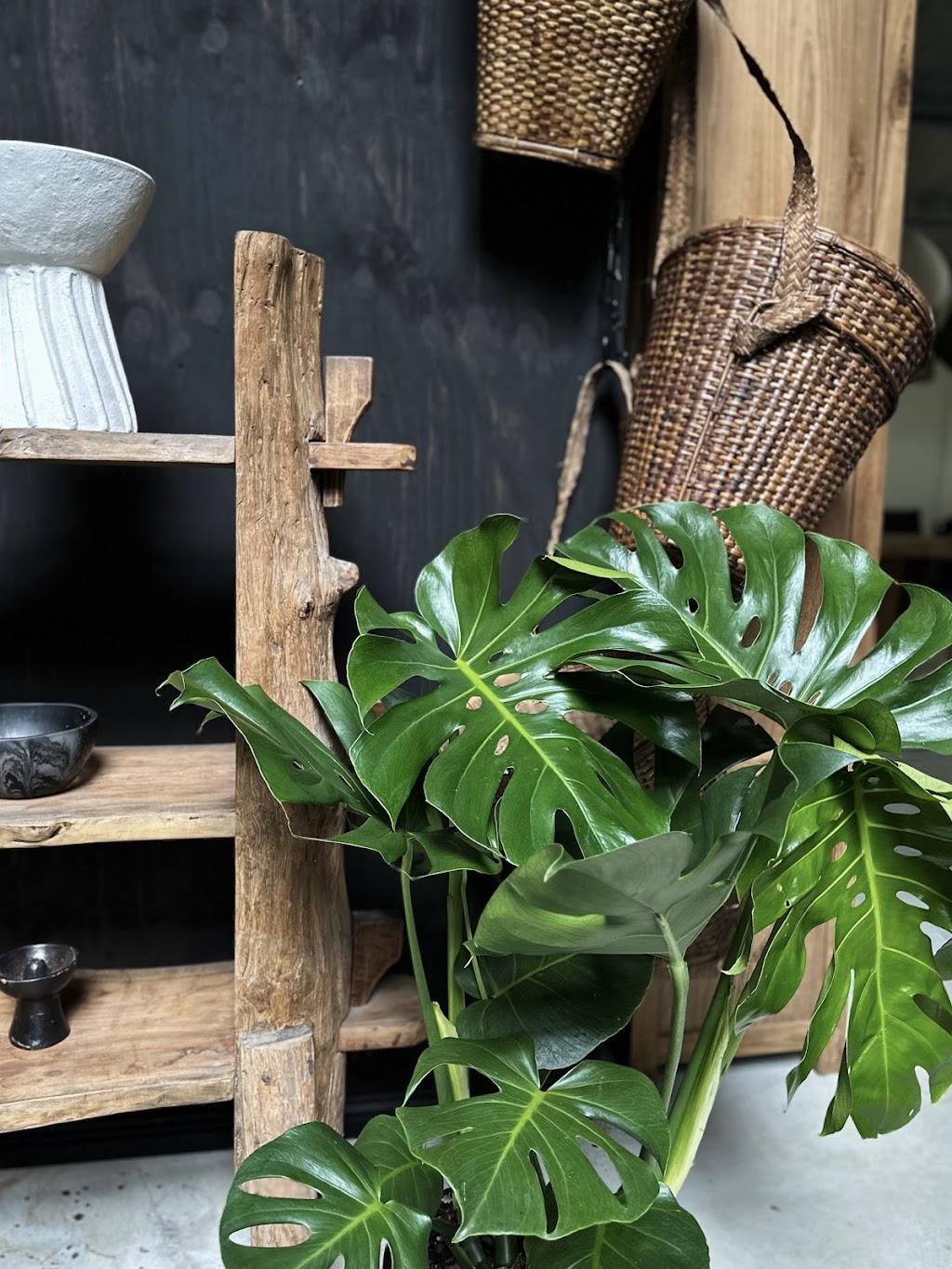 the TROVE @ Leaves & Fishes | 737 Lovedale Rd, Lovedale NSW 2325, Australia | Phone: 0438 985 676