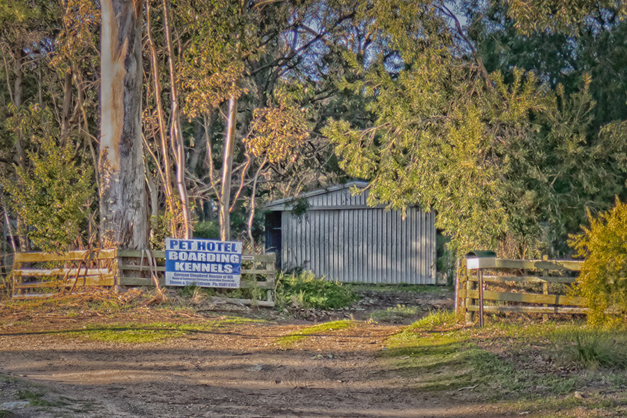 North Mandurah Pet Hotel | 22 Windfire Grove, Nambeelup WA 6207, Australia | Phone: (08) 9581 6160