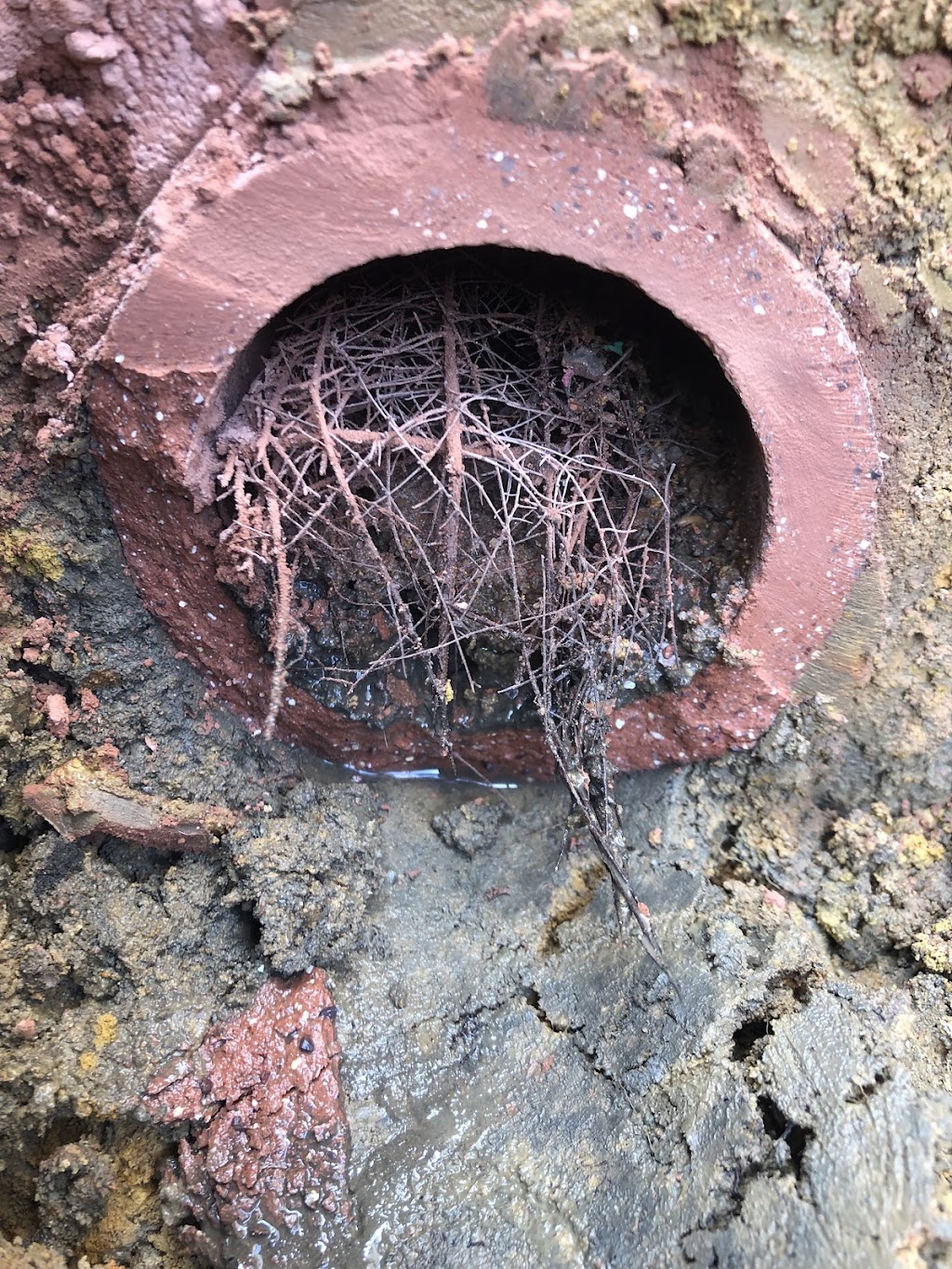 Central West Blocked Drains | 10 Dulhunty St, Portland NSW 2847, Australia | Phone: 0435 850 884