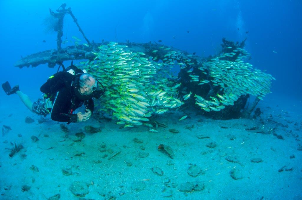 South Coast Underwater Diving Academy SCUDA | travel agency | 150 Princes Hwy, Ulladulla NSW 2539, Australia | 0413327163 OR +61 413 327 163