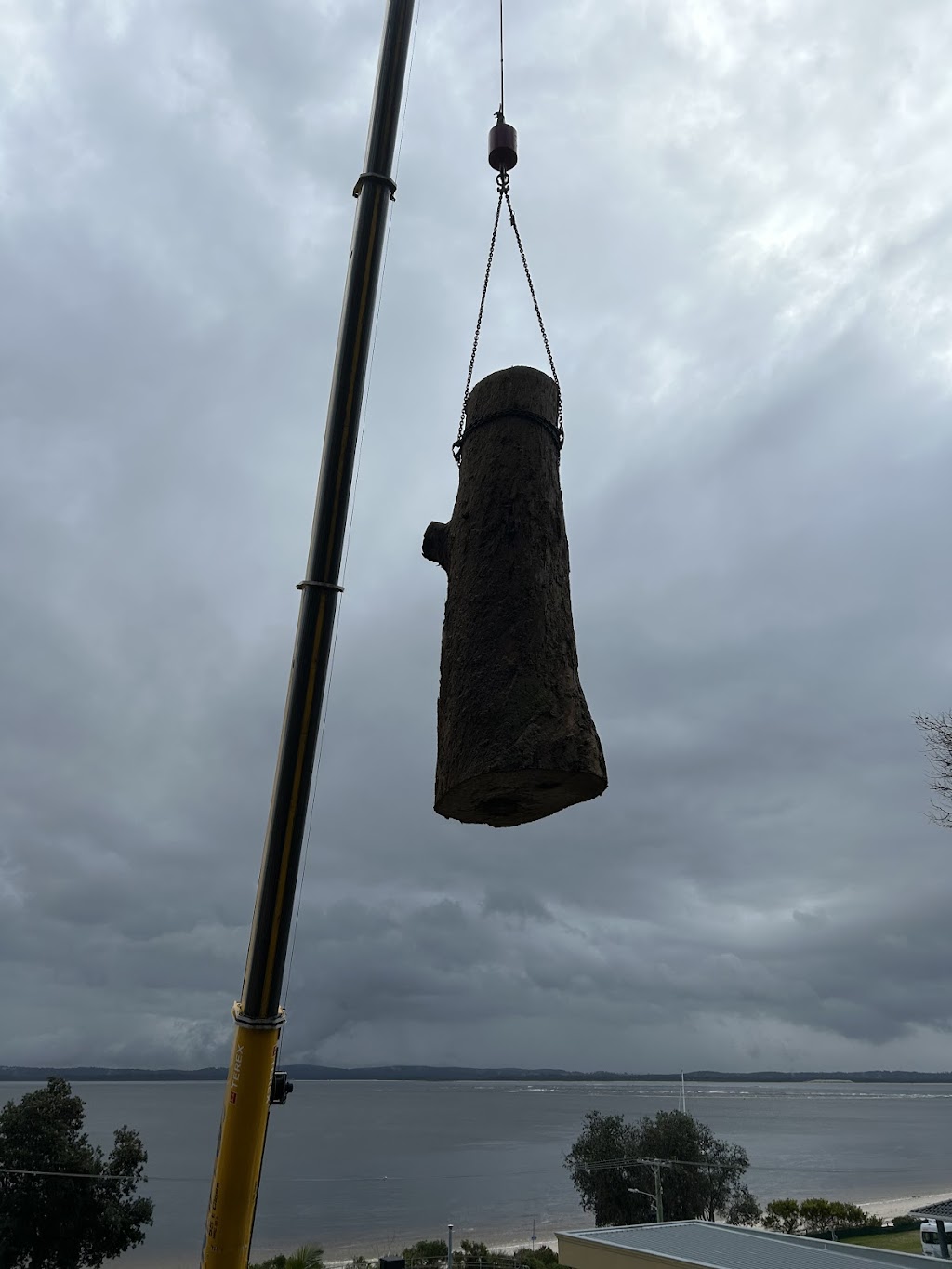 Daly Tree Contracting | 5 Jessie Rd, Anna Bay NSW 2316, Australia | Phone: 0482 476 534