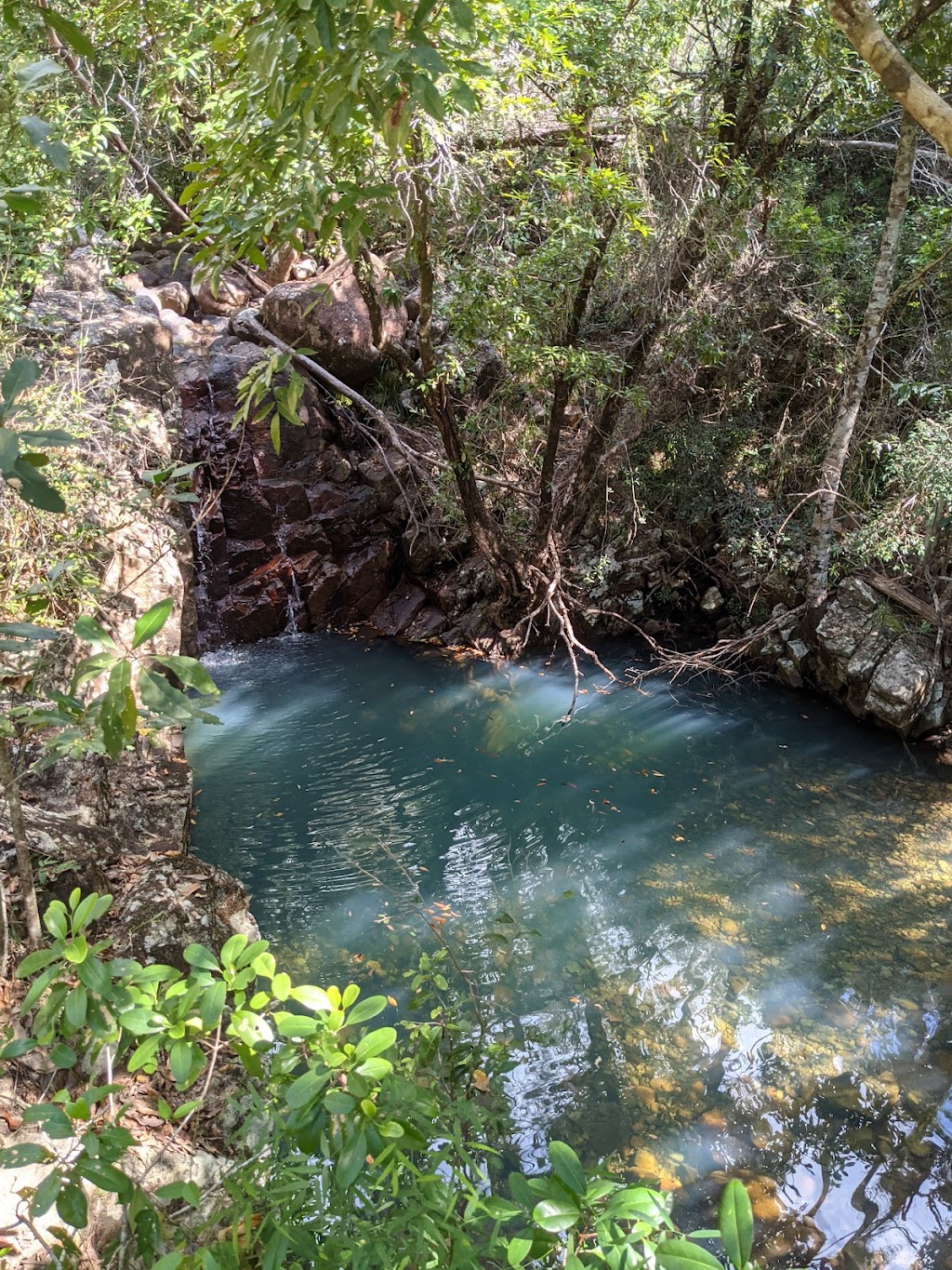 Butterfly Valley | 284 Five Mile Creek Rd, Damper Creek QLD 4849, Australia | Phone: 0458 658 237