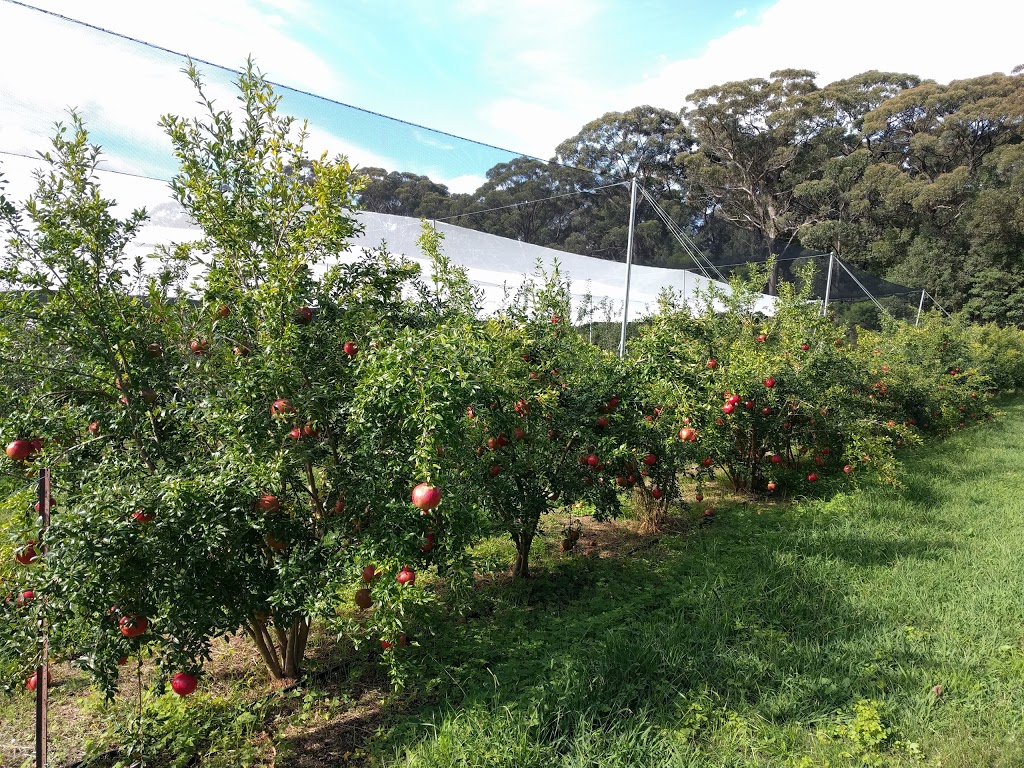 Bilpin Springs Orchard | 2550 Bells Line of Rd, Bilpin NSW 2758, Australia | Phone: (02) 4567 1294