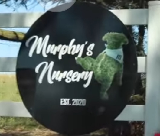 Murphys Nursery | 65 Wimpole Rd, Bunyip North VIC 3815, Australia | Phone: 0412 008 727