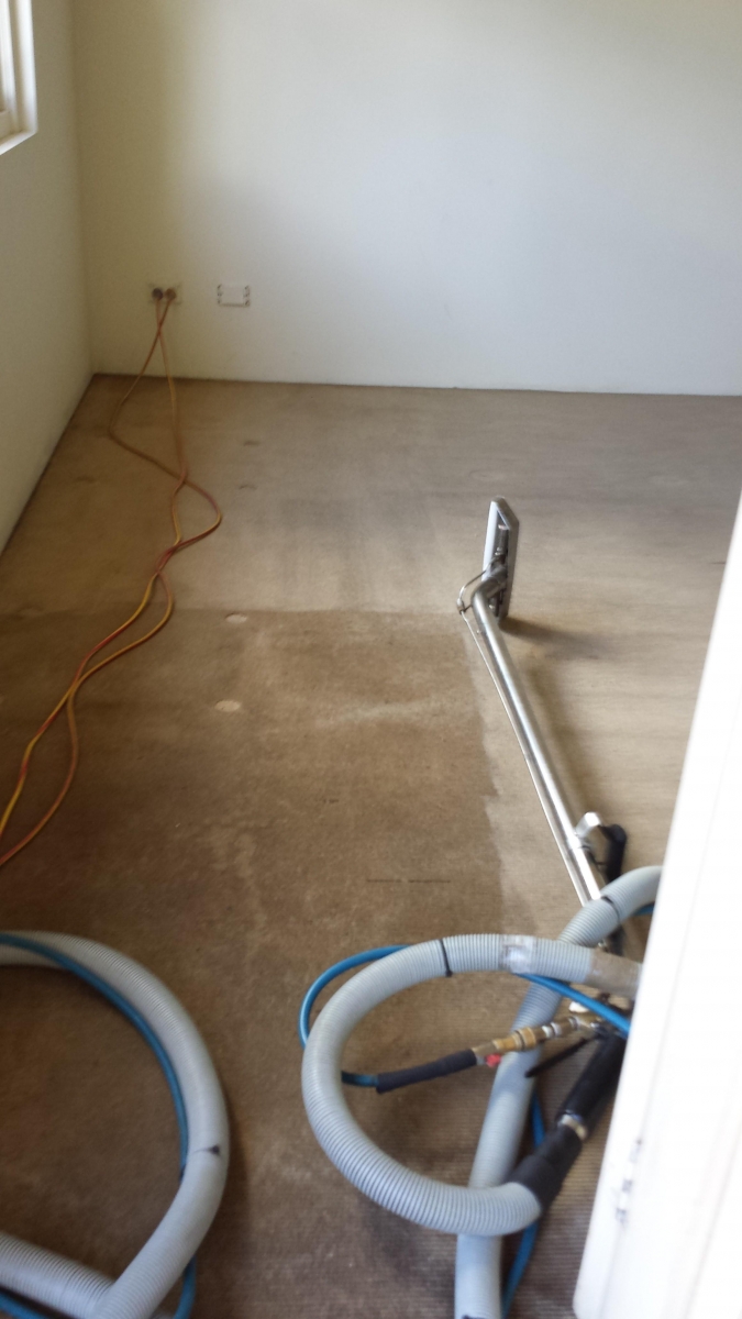 Franklean Carpet & Tile Cleaning North Sydney - High Pressure Cl | 6 Stratford Ave, Denistone NSW 2114, Australia | Phone: 0411 181 990