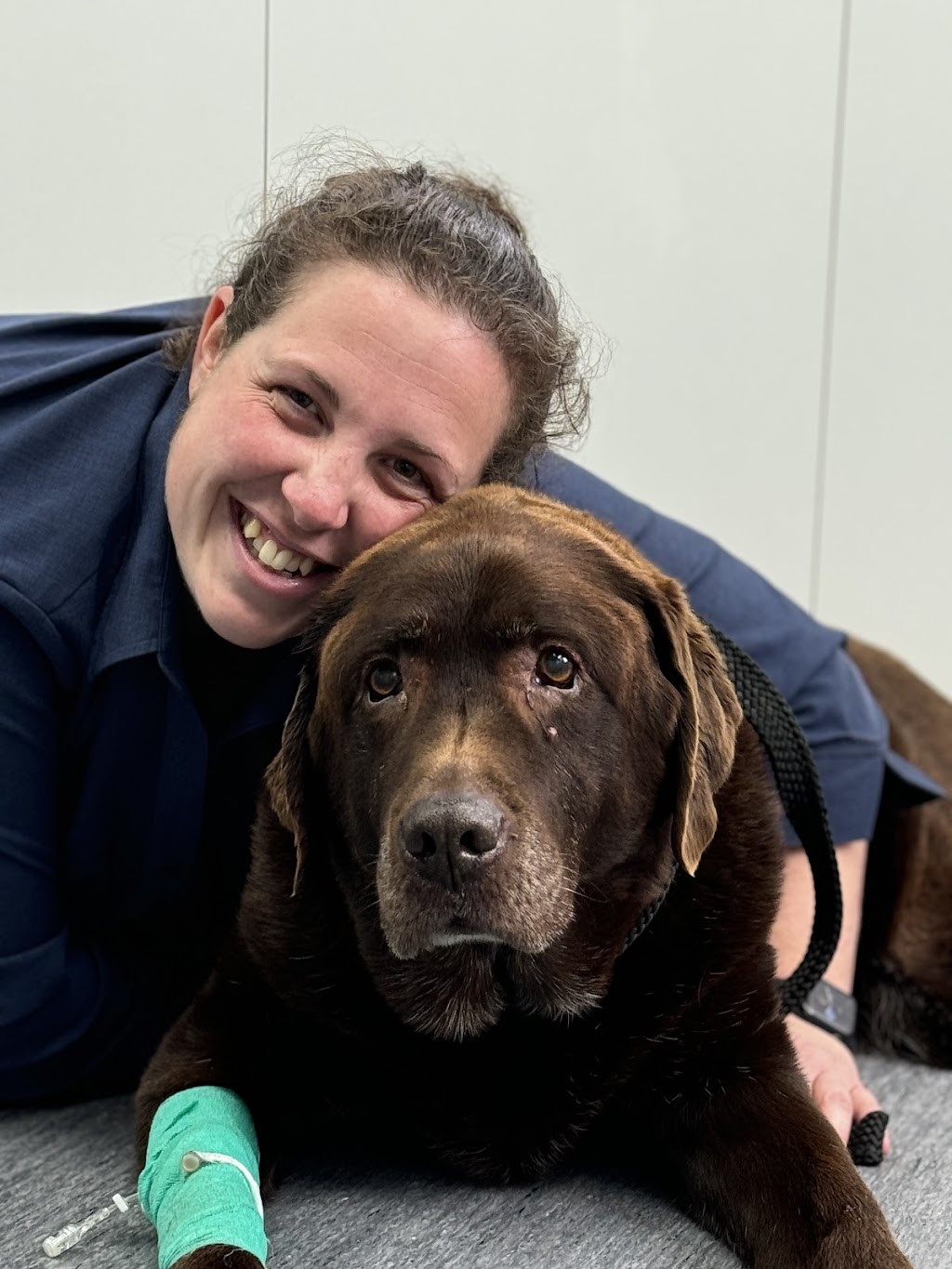 Vets of Geelong - Lara | 75 Forest Rd S, Lara VIC 3212, Australia | Phone: (03) 5243 0077