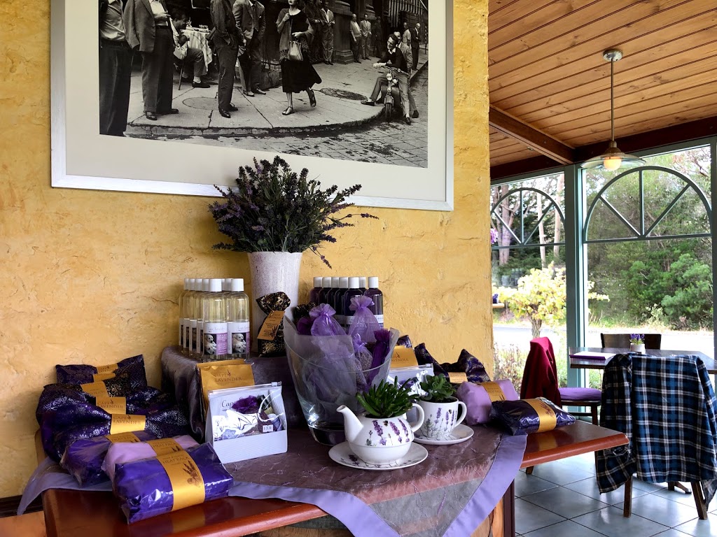 Cape Lavender | 2 Canal Rocks Rd, Yallingup WA 6282, Australia | Phone: (08) 9756 6609