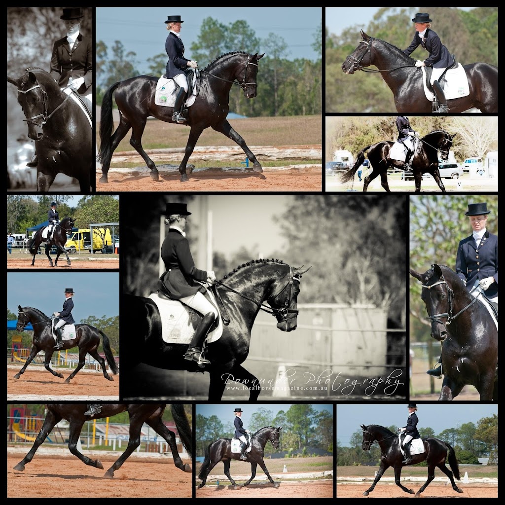 Kalimna Stud | 6827 Kiewa Valley Highway, Tawonga VIC 3697, Australia | Phone: 0409 278 733