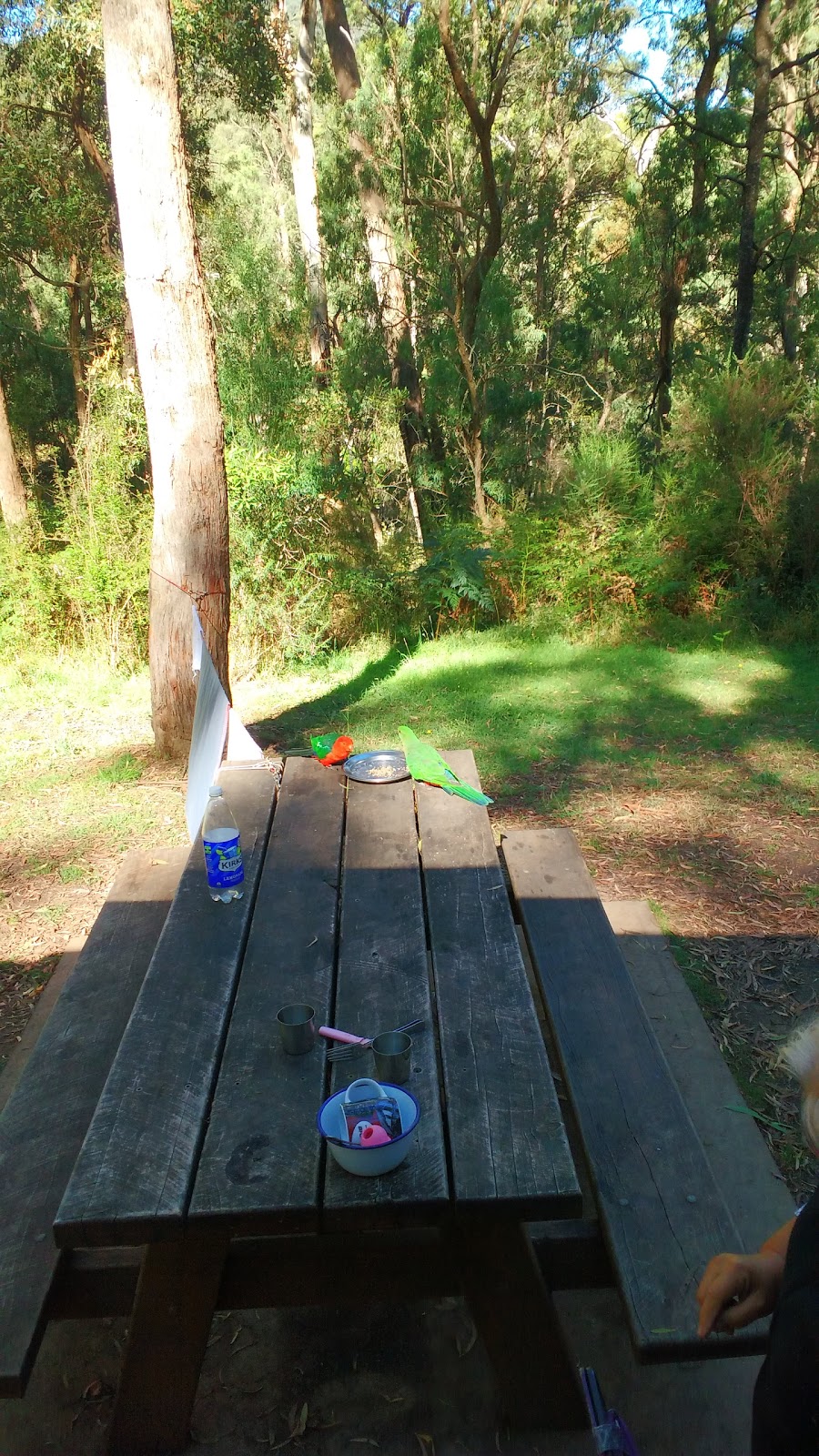Carters Mill Campground | campground | Mirimbah VIC 3722, Australia | 136186 OR +61 136186