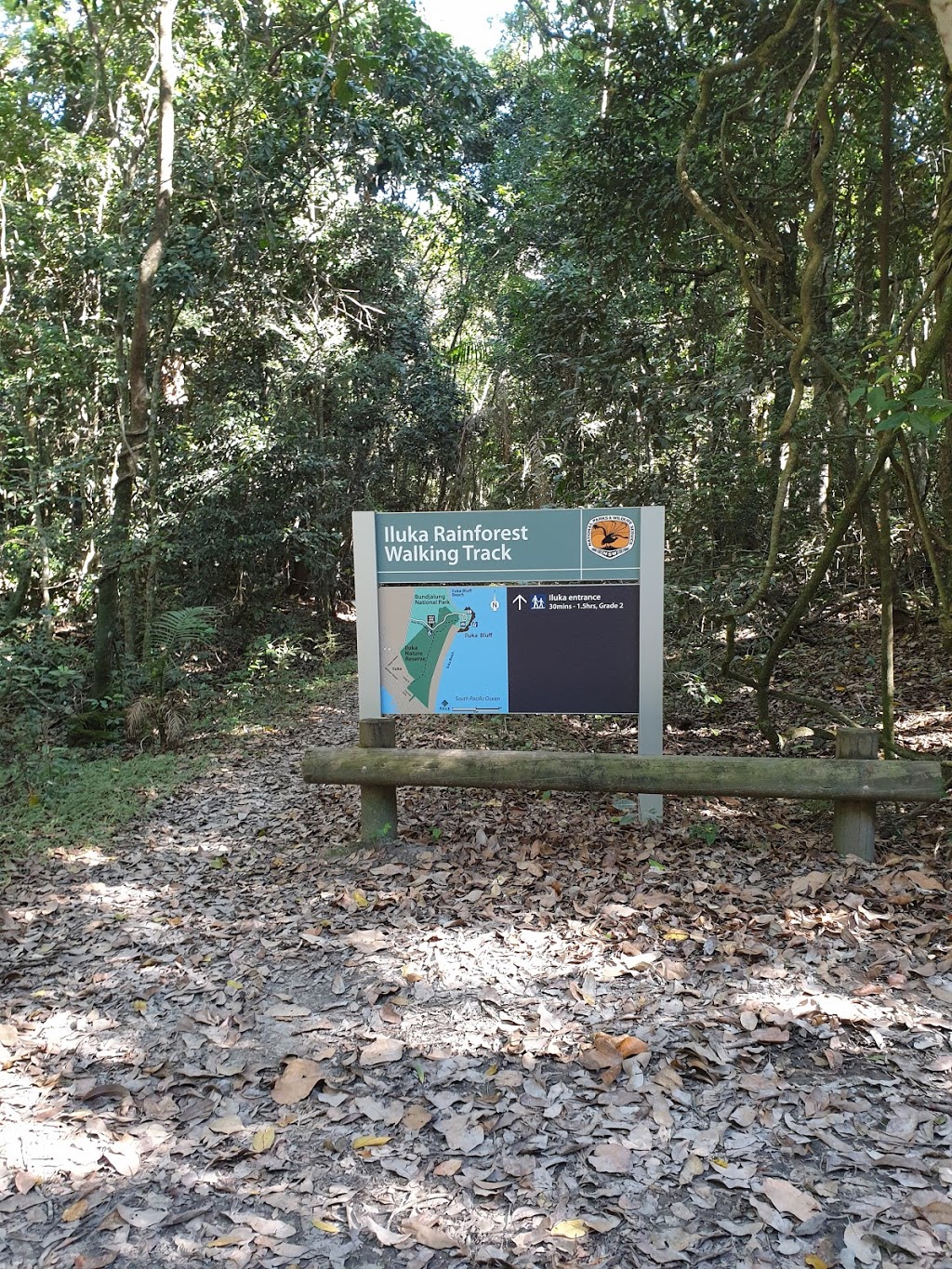 Iluka Rainforest Walk - Northern Entrance | Bluff Rd, Iluka NSW 2466, Australia