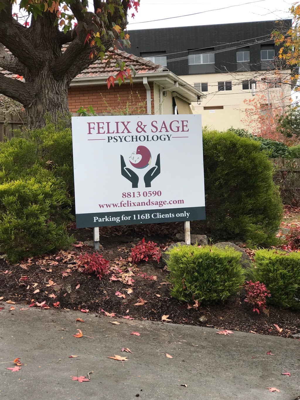 Felix & Sage Psychology | 116B Mt Dandenong Rd, Ringwood East VIC 3135, Australia | Phone: (03) 8813 0590