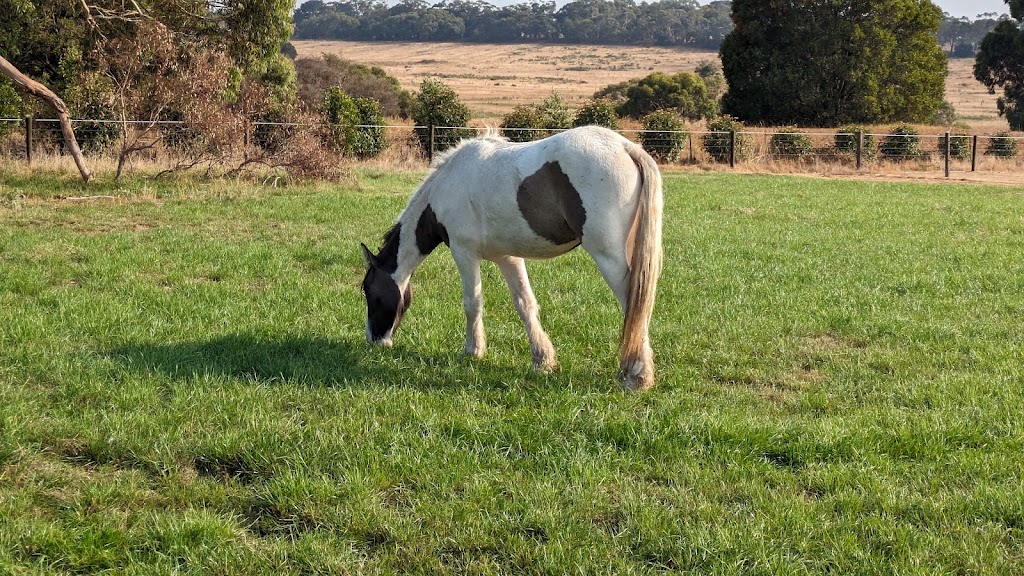 Briara Park Equestrian Centre | 235 Old Moorooduc Rd, Tuerong VIC 3915, Australia | Phone: 0493 966 522