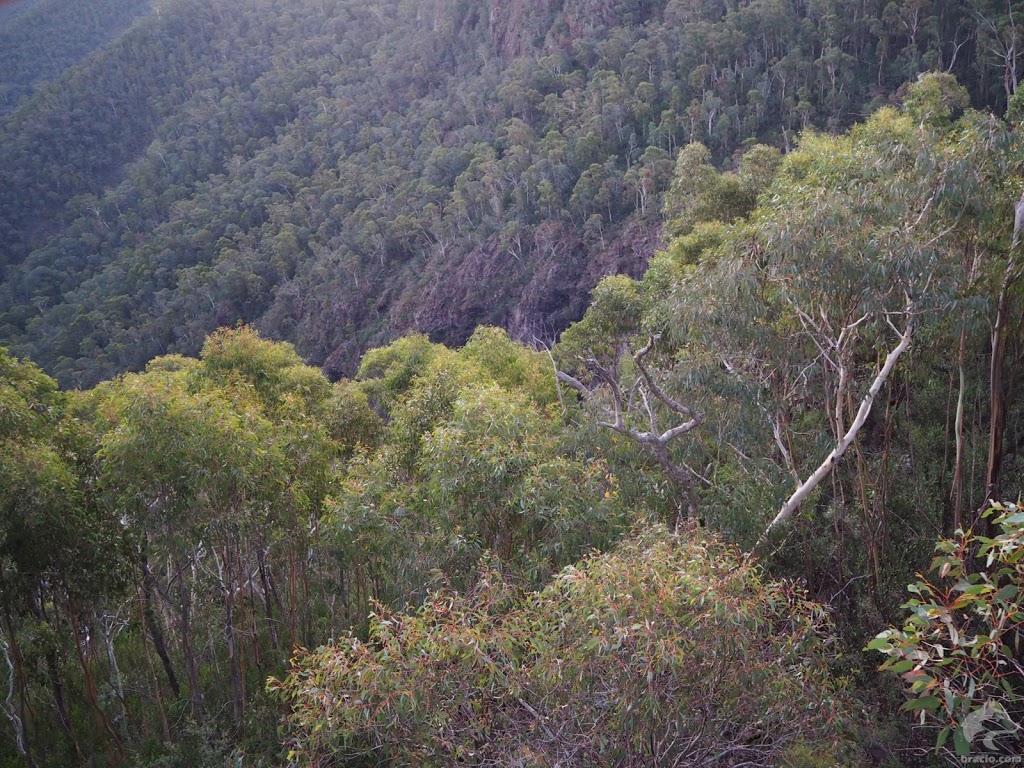 Landers Falls lookout | Landers Falls Walking Track, Pinbeyan NSW 2720, Australia | Phone: (02) 6947 7025