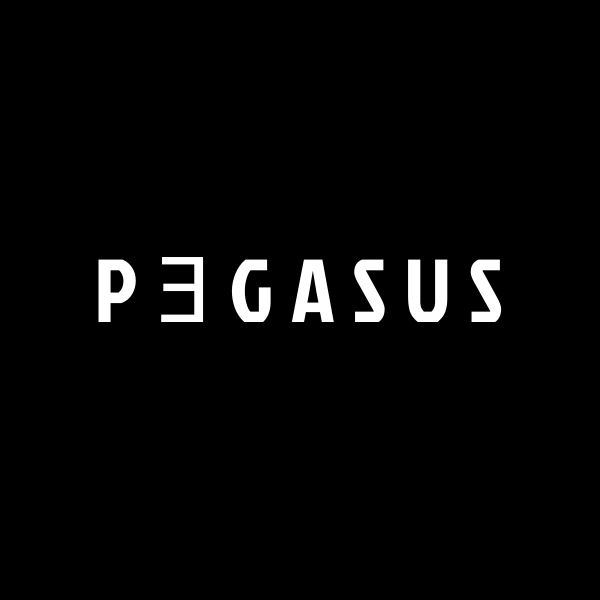 Pegasus Media Group |  | 528 Hume St, Middle Ridge QLD 4350, Australia | 0449971819 OR +61 449 971 819