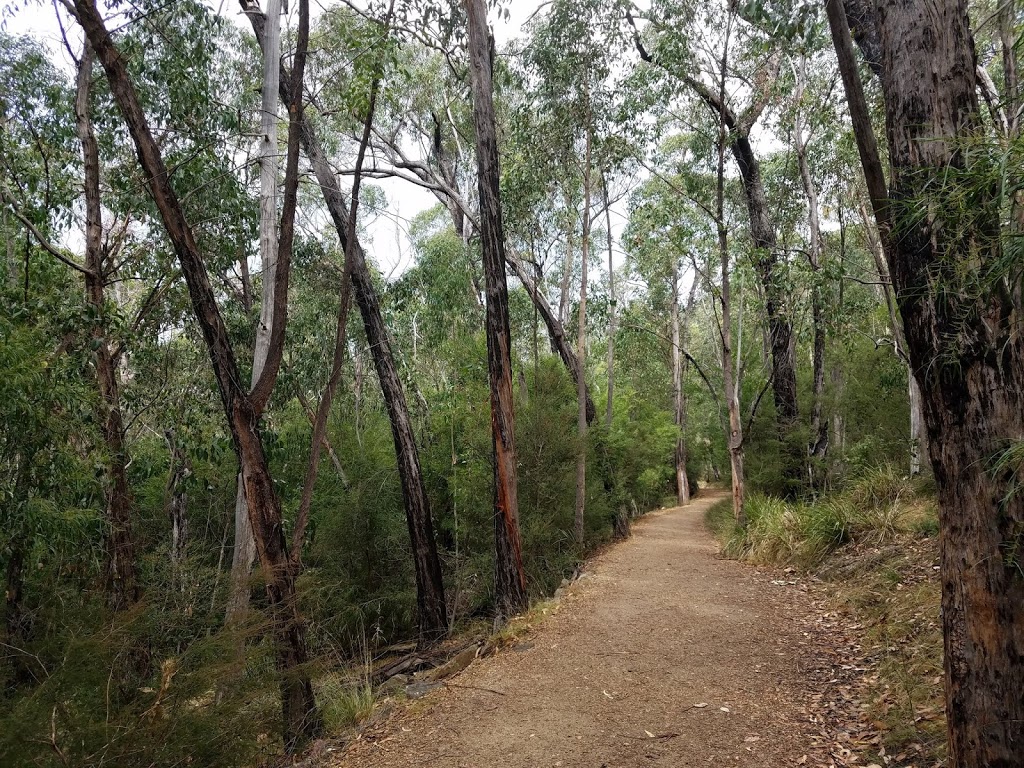 Silverband Falls Carpark | parking | Silverband Rd, Bellfield VIC 3381, Australia