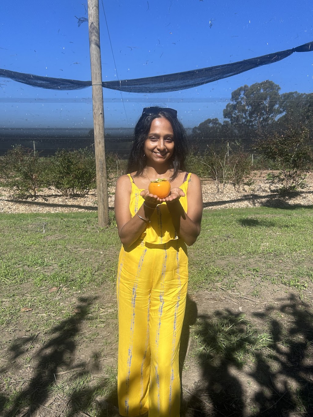 Mount Blue | 108 Valley Ridges Rd, Bilpin NSW 2758, Australia | Phone: 0438 172 849