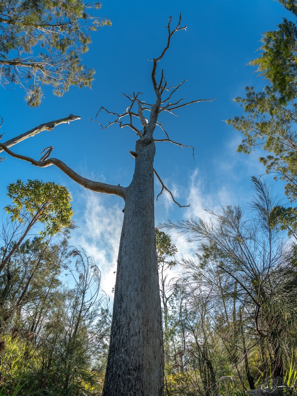 Yabi Mountain | Rifle Range Rd, Atherton QLD 4883, Australia | Phone: (07) 4091 4222