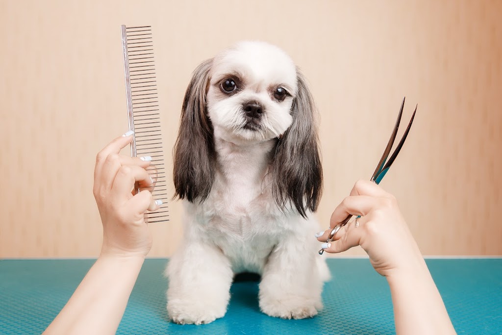 DC PETS | Pet Beauty Salon | 123-125 James St, Templestowe VIC 3106, Australia | Phone: 0411 576 789