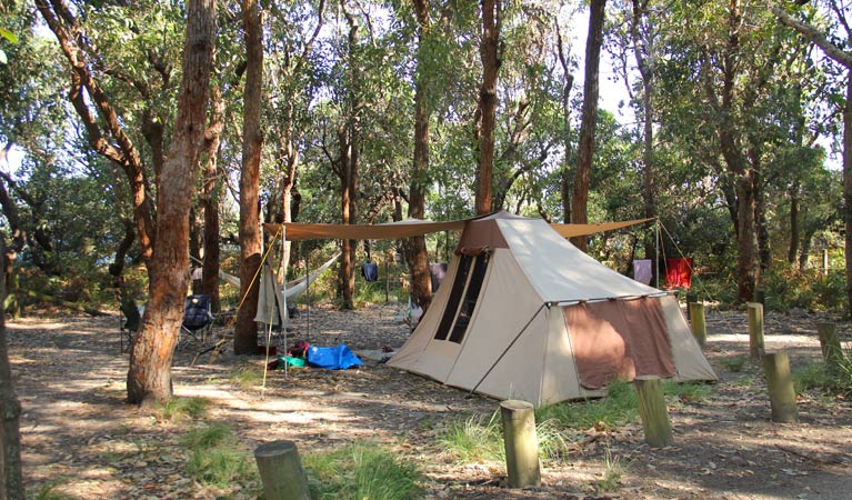 Aragunnu campground | campground | Aragunnu Road, Wapengo NSW 2550, Australia | 0244760800 OR +61 2 4476 0800