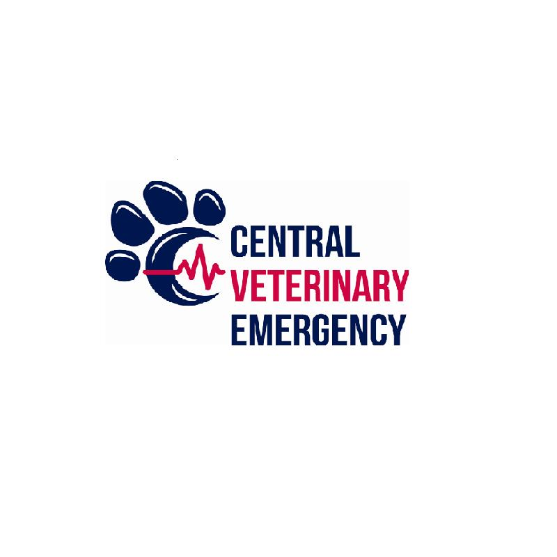 Central Veterinary Emergency | veterinary care | 9 Elizabeth St, Castlemaine VIC 3450, Australia | 0413898331 OR +61 413 898 331