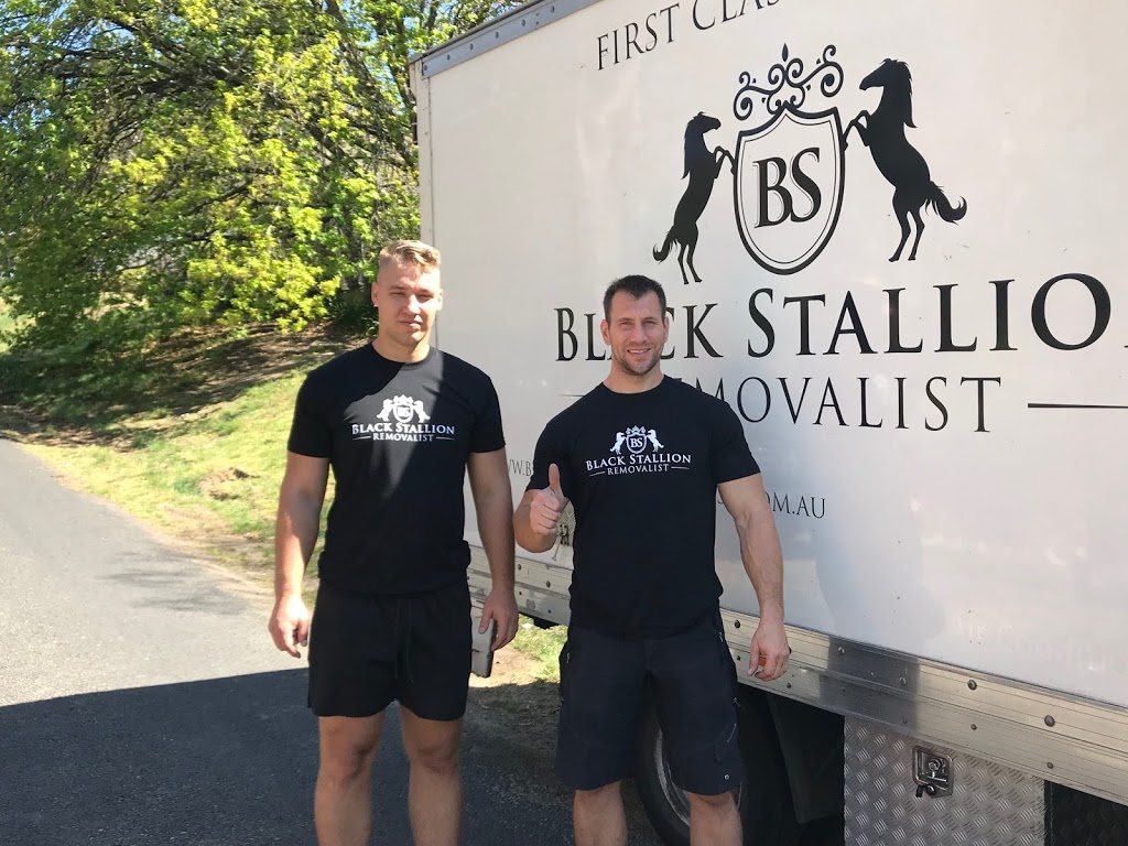 Black Stallion Removalist | 2/47 Todman Ave, Kensington NSW 2033, Australia | Phone: 0468 791 954