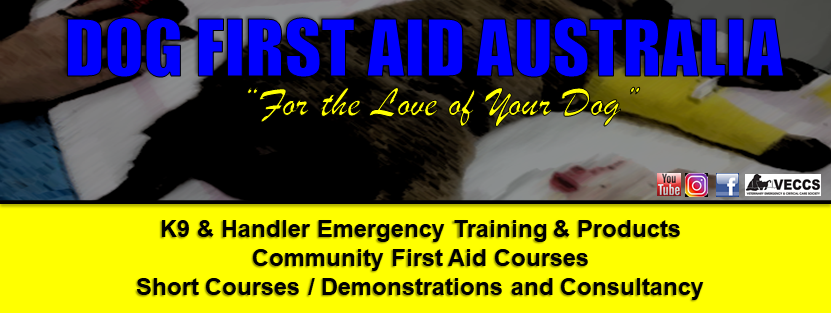 Dog First Aid Australia | 252 St Vincents Rd, Banyo QLD 4014, Australia | Phone: 0422 304 974