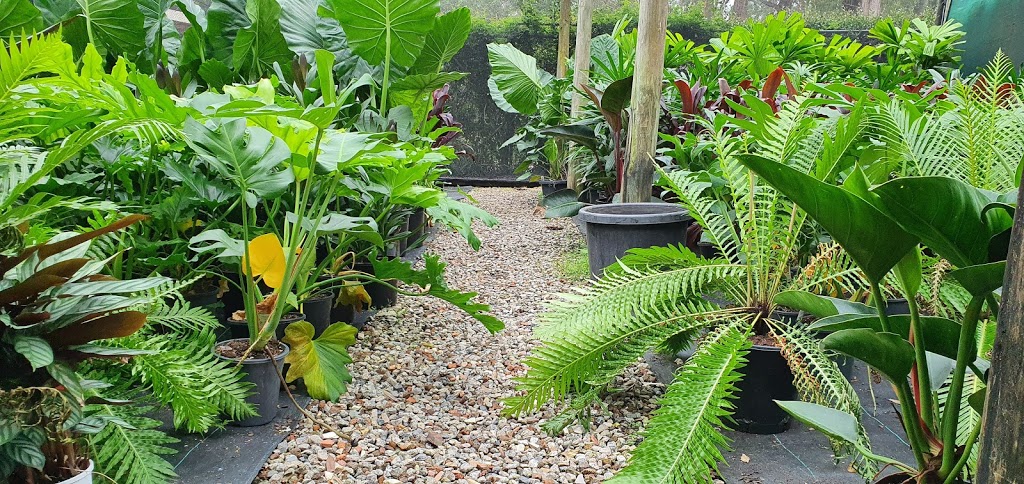 Exotic Nurseries & Landscaping | 676 Old Northern Rd, Dural NSW 2158, Australia | Phone: (02) 9651 2299