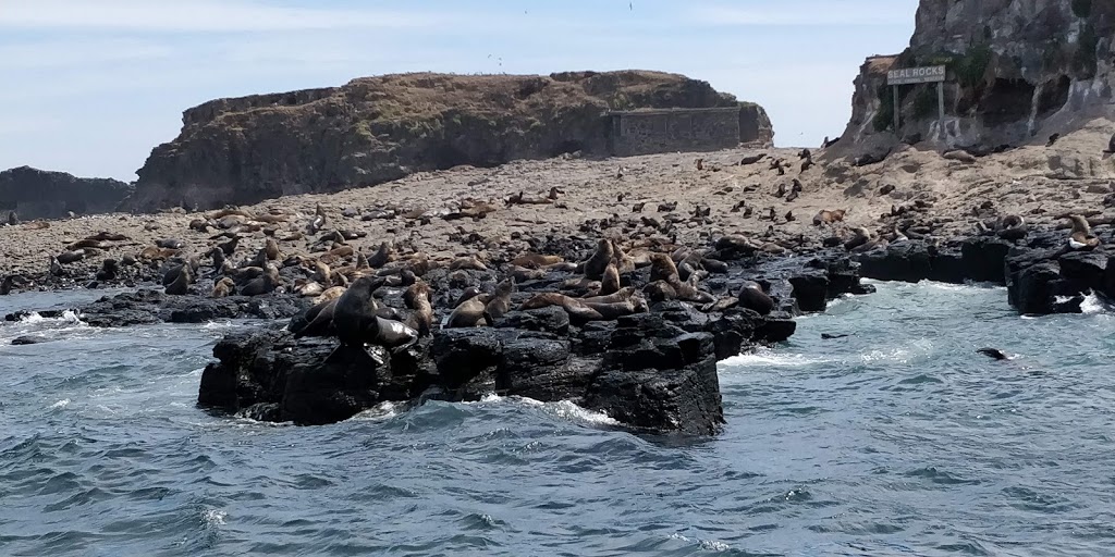 Seal Rocks | park | Victoria, Australia