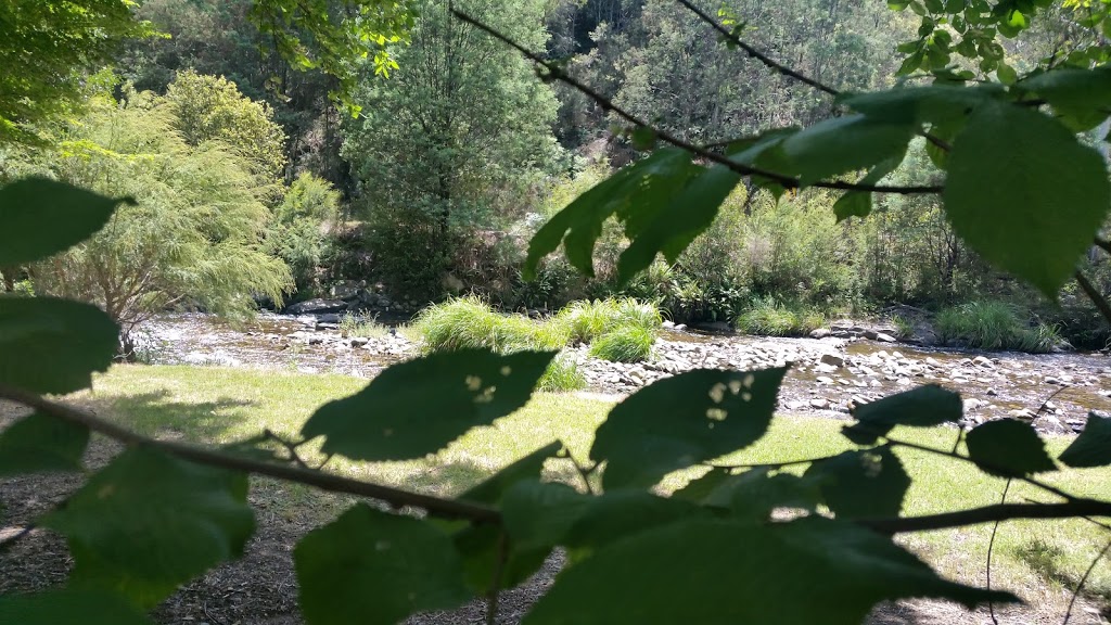 Lightning Creek Campground | campground | Mitta Mitta VIC 3701, Australia