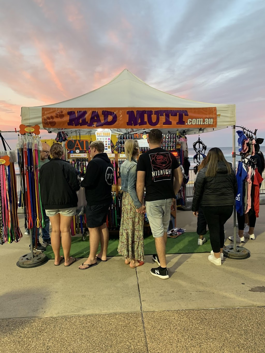 Mad Mutt | 68 Oxley Dr, Paradise Point QLD 4216, Australia | Phone: 0412 720 292