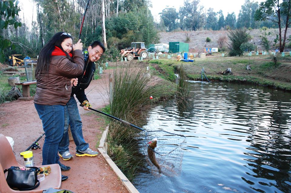 Marysville Trout & Salmon Ponds | 261 Marysville Rd, Marysville VIC 3779, Australia | Phone: (03) 5963 3558