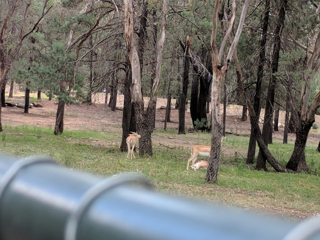 Dubbo Golf Club | Newell Hwy, Dubbo NSW 2830, Australia | Phone: (02) 6882 1255