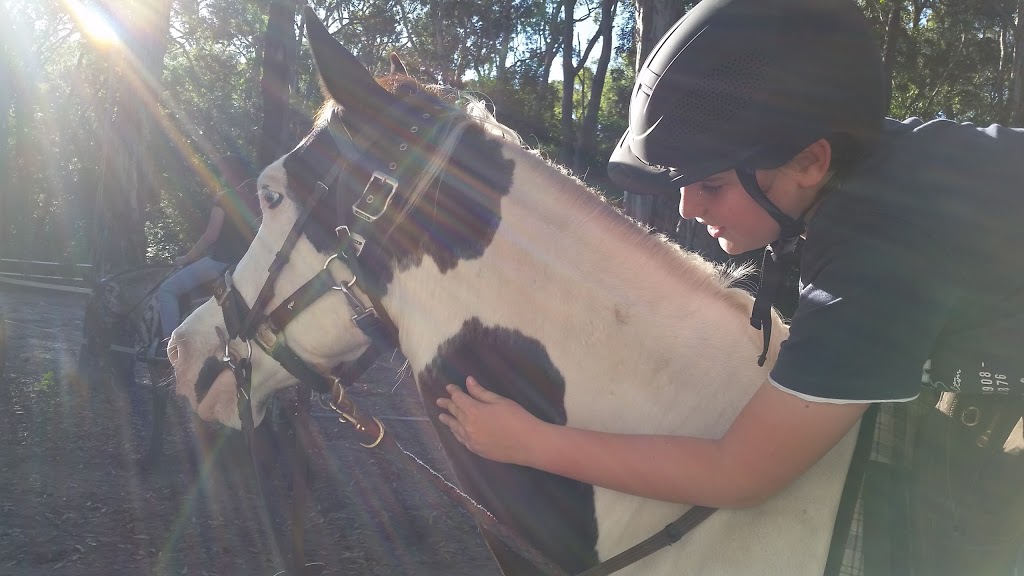 Saddle Me Up | 32 Heron Cl, Moore Park Beach QLD 4670, Australia | Phone: (07) 4159 8782