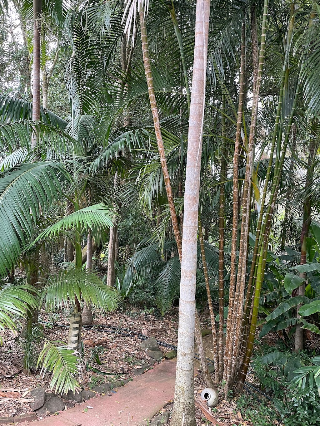 Fairview Studios | 114 Stewarts Rd, Clunes NSW 2480, Australia | Phone: 0406 404 335